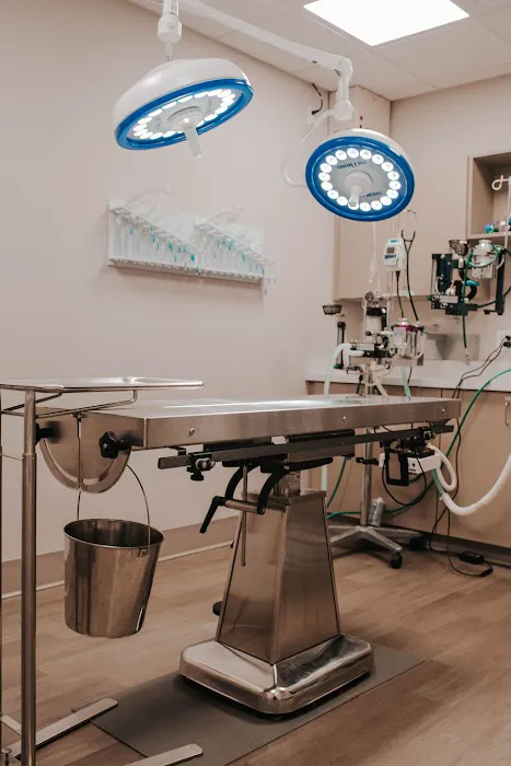 Sylvan Veterinary Hospital Picture 7