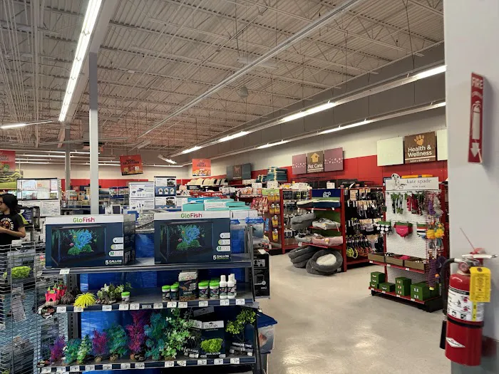 Petco Picture 7