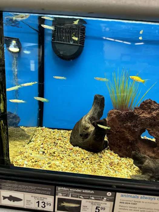 Petco Picture 4