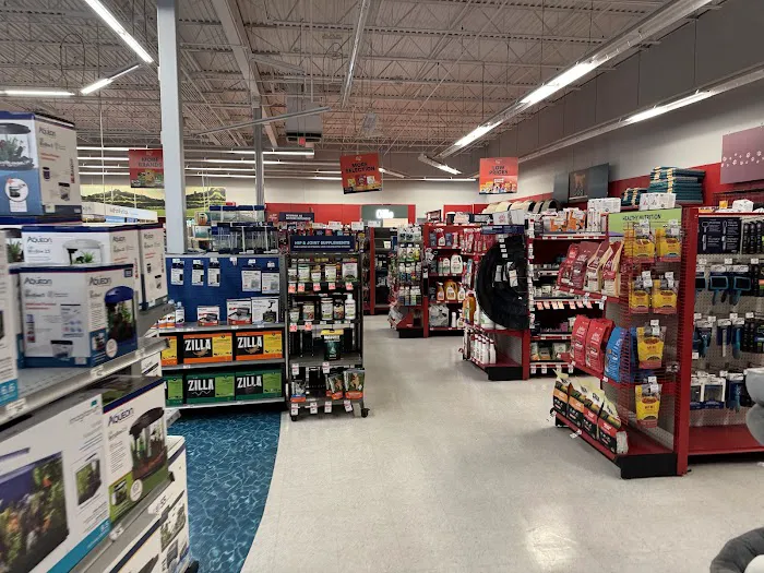 Petco Picture 8