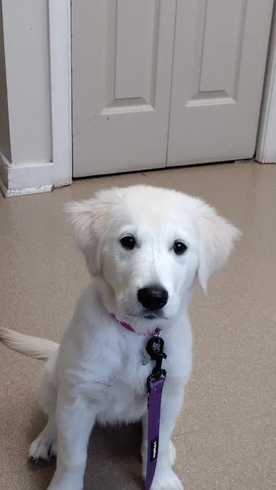 Hollidaysburg Animal Clinic Picture 7