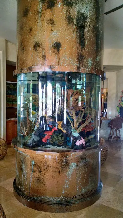 LightHouse Aquatics Picture 4