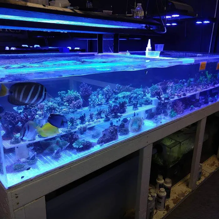 LightHouse Aquatics Picture 2