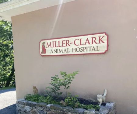 Miller Clark Animal Hospital