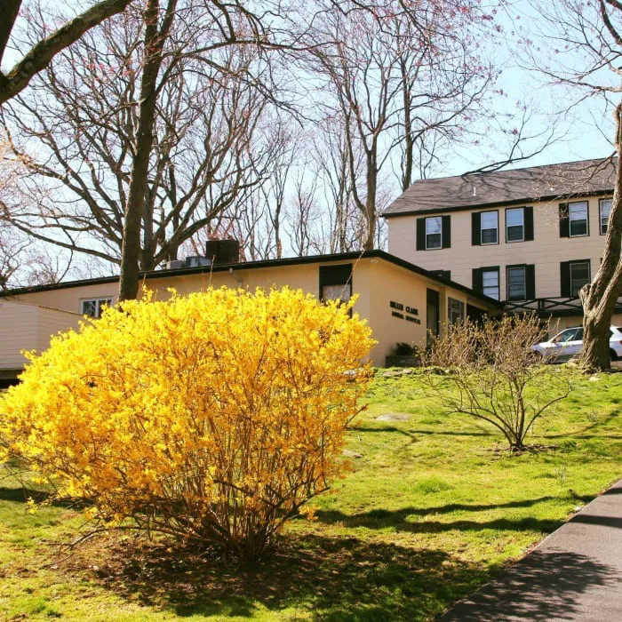 Miller Clark Animal Hospital Picture 10