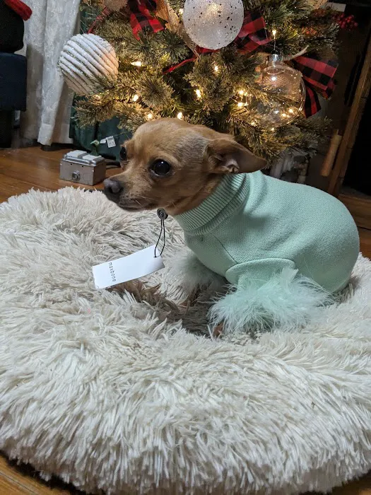Miller Clark Animal Hospital Picture 9