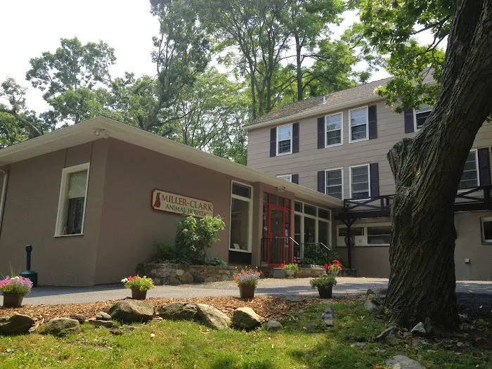 Miller Clark Animal Hospital Picture 8