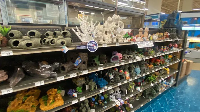 Petco Picture 9