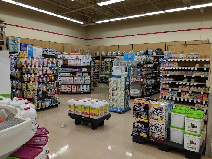 Petco Picture 7