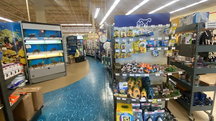 Petco Picture 8