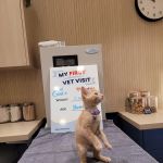 Bond Vet - Roslyn