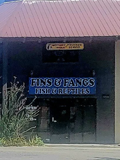 Fins & Fangs Picture 2