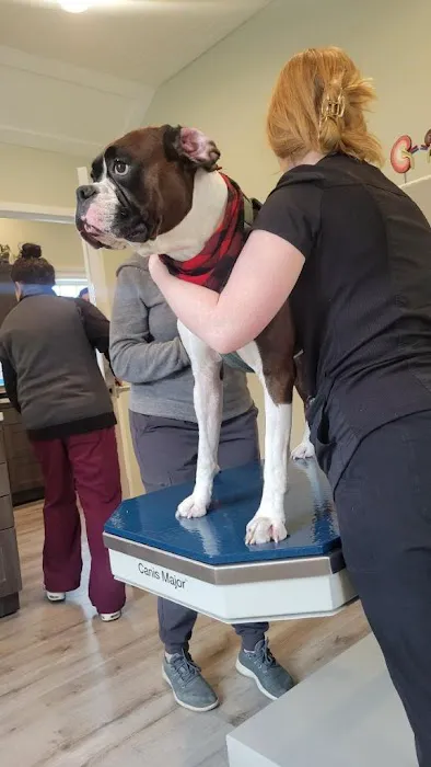 Roslyn Village Veterinarian Picture 3