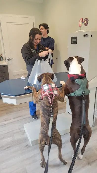 Roslyn Village Veterinarian Picture 4