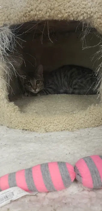 Petco Picture 8
