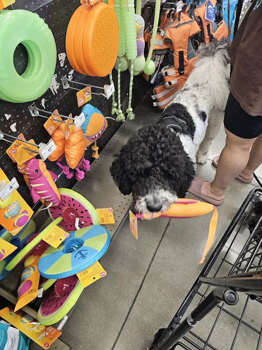 Petco Picture 6