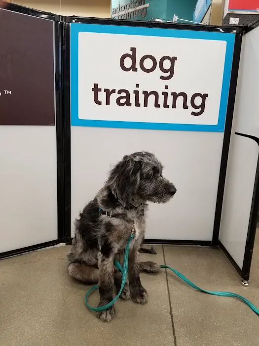Petco Picture 4