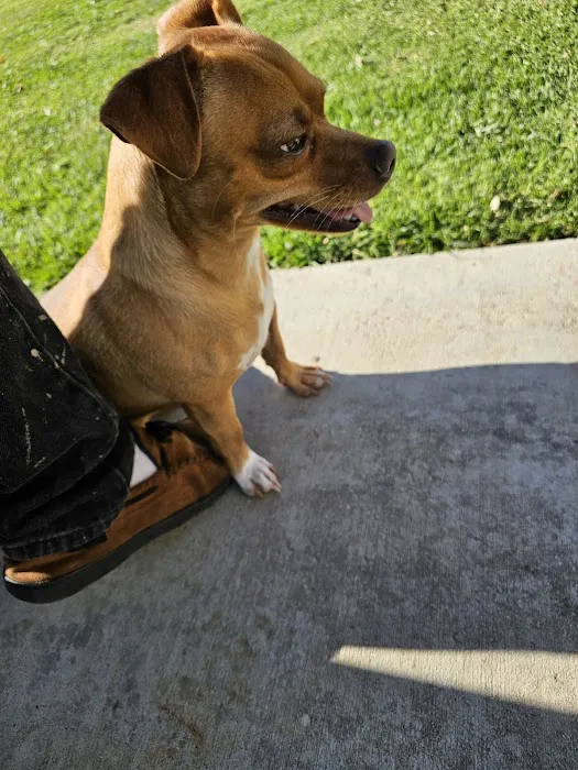 Petco Picture 10