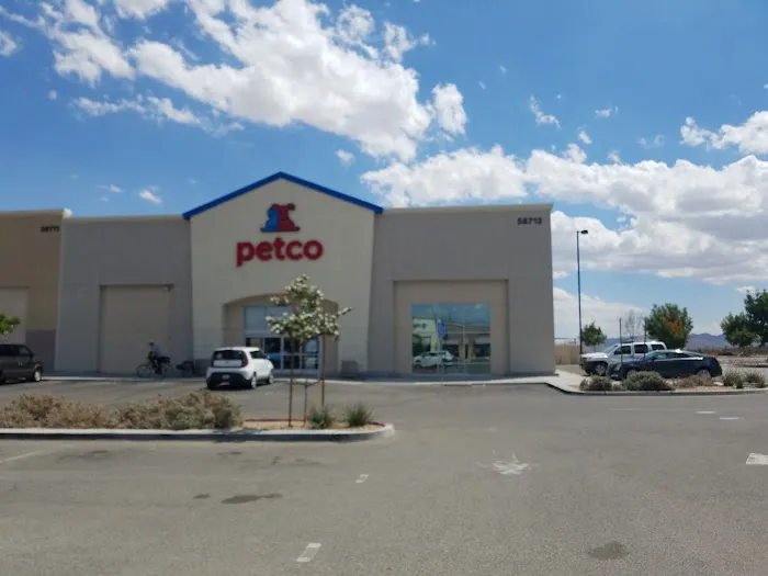 Petco Picture 7