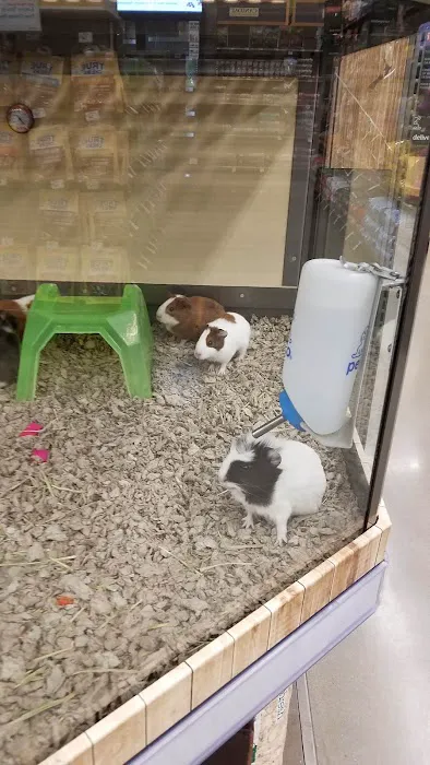 Petco Picture 1