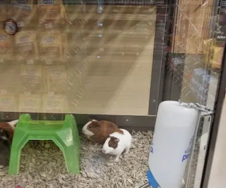 Petco