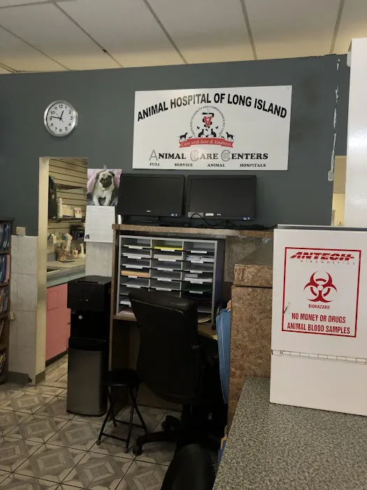 Animal Hospital of Long Island Picture 6