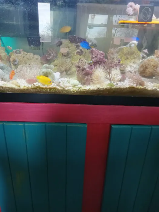 Fish and Coral Store Picture 2
