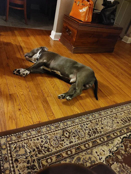 Baldwin Animal Hospital Picture 8