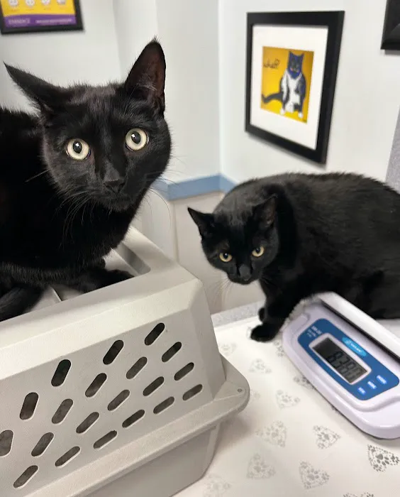Baldwin Animal Hospital Picture 2