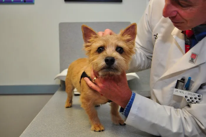 Baldwin Animal Hospital Picture 3