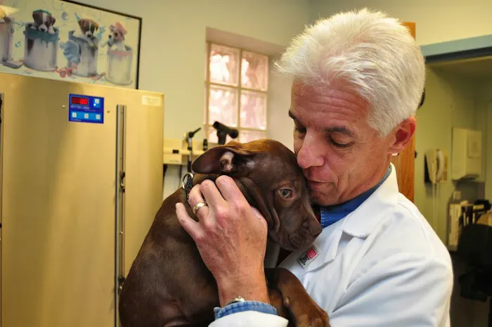 Baldwin Animal Hospital Picture 7