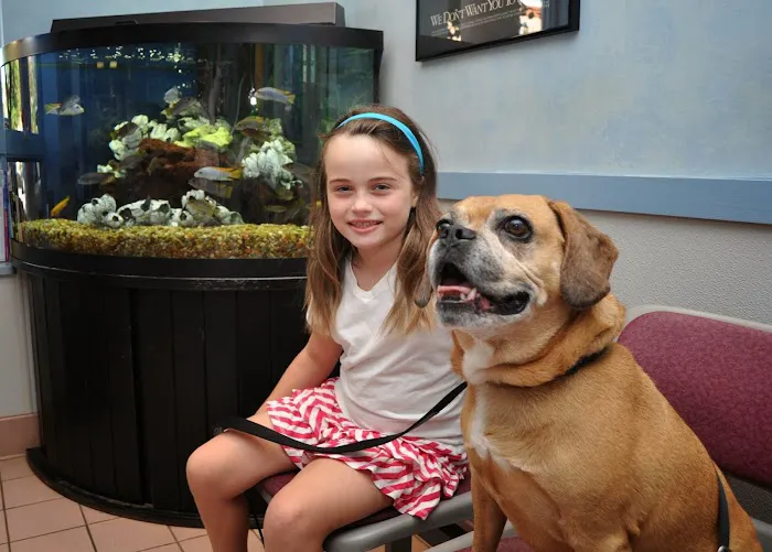 Baldwin Animal Hospital Picture 1