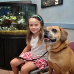 Baldwin Animal Hospital