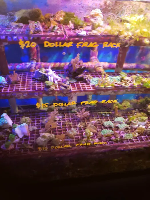 Carson Tropical Fish Picture 2