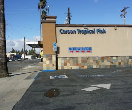 Carson Tropical Fish