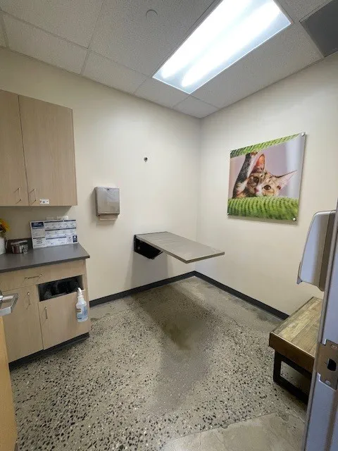 Vetco Total Care Animal Hospital Picture 6