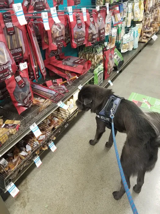 Petco Picture 2