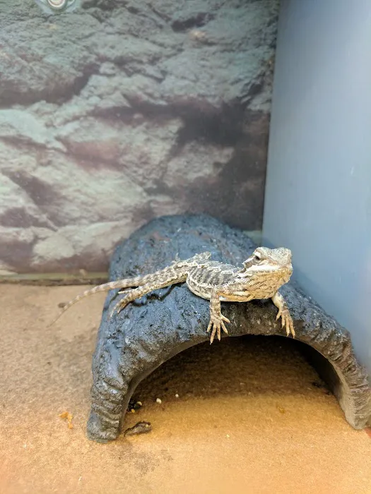 Petco Picture 4