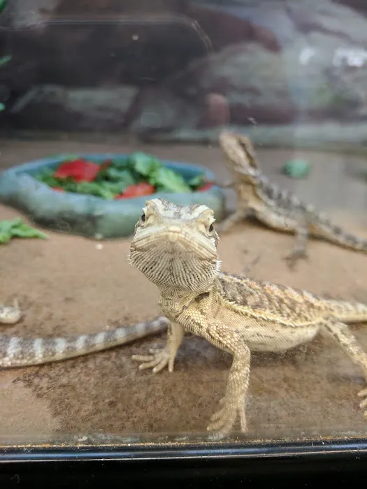 Petco Picture 9