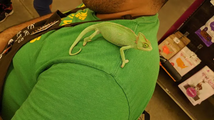 Petco Picture 6
