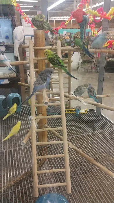 Petco Picture 5