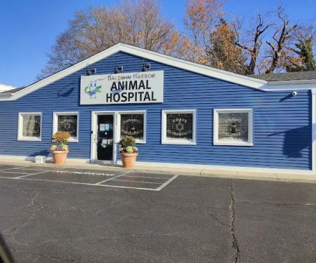 Baldwin Harbor Animal Hospital
