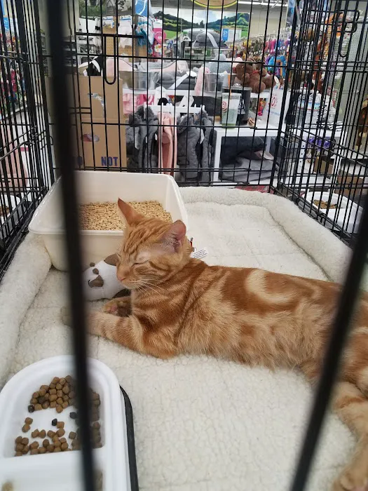 Petco Picture 3
