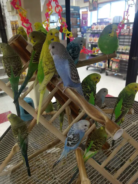 Petco Picture 5