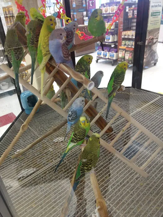 Petco Picture 9
