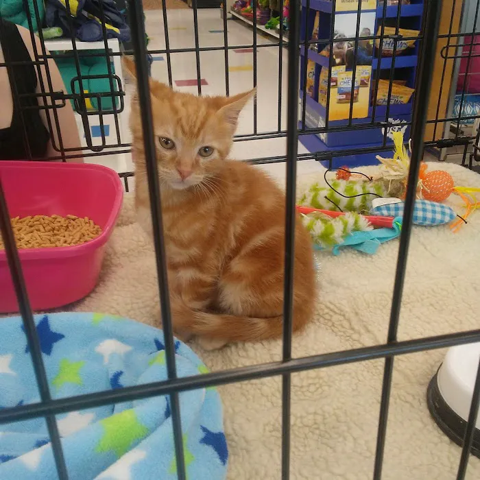 Petco Picture 10