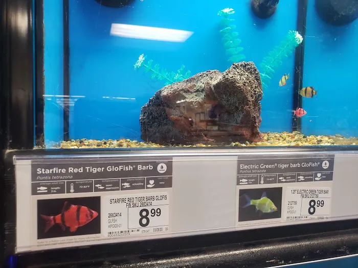 Petco Picture 8