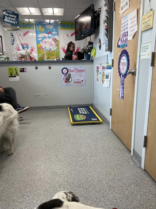 Island Park Animal Hospital Picture 8
