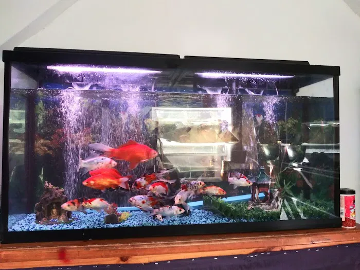 Fish Warehouse Picture 1