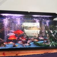 Fish Warehouse ico
